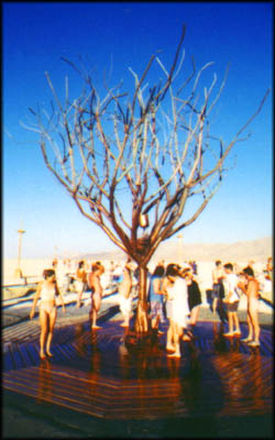 The One Tree